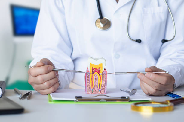 Best Emergency Dental Services Near Me  in Yosemite Valley, CA
